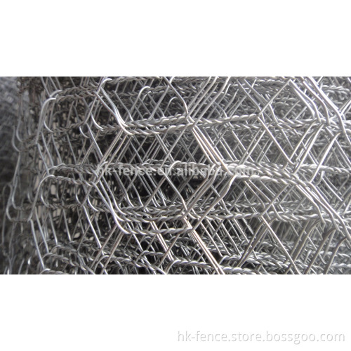 electro-Galvanized Hexagonal Wire Mesh for chicken coop